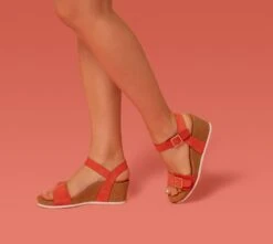 Lexa Ivory -Wonders Shop aetlexa08g