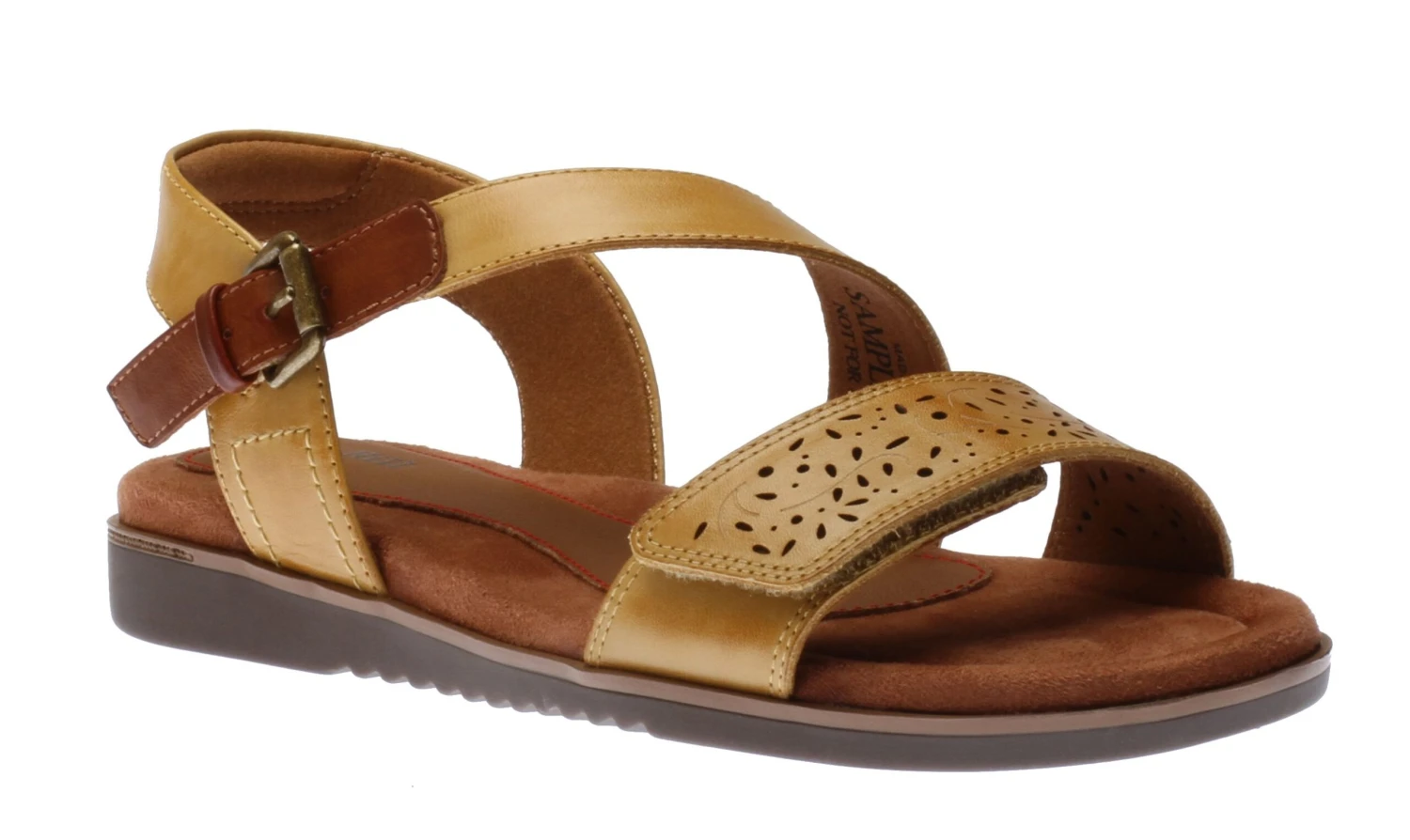 Zion 2 Sweet Corn 3 Zion 2 Sweet Corn