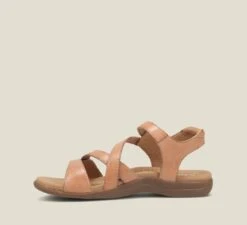 Big Time Natural 9 Big Time Natural -Wonders Shop taobigtime06b