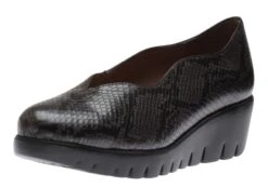 Wonders C33170 Vemesis Gris